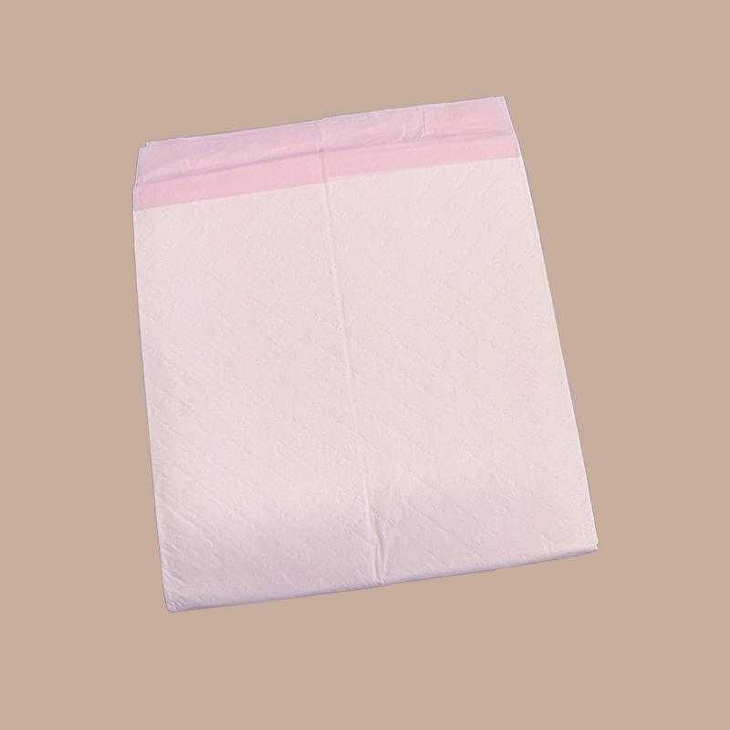 Pad Penjagaan Warga Emas