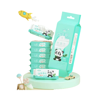 Disposable Adult Wet Wipes