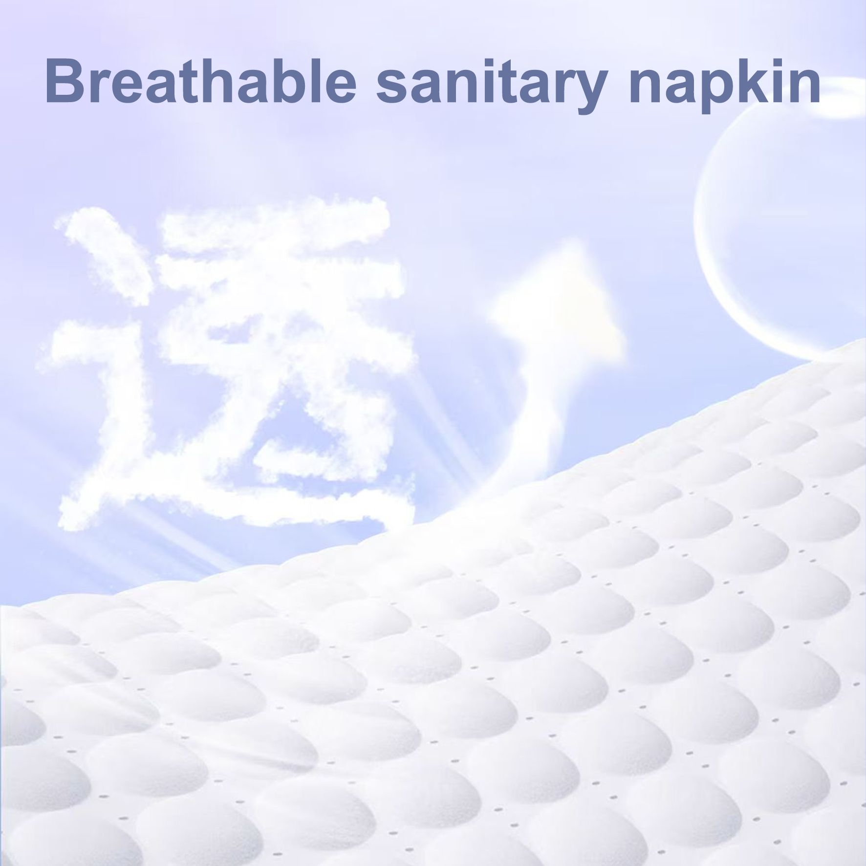 Sanitary Napkins OEM